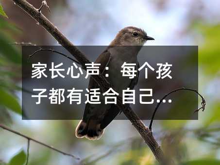 家長心聲:每個孩子都有適合自己的路