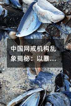 中國網戒機構亂象揭秘:以暴力牟取暴利