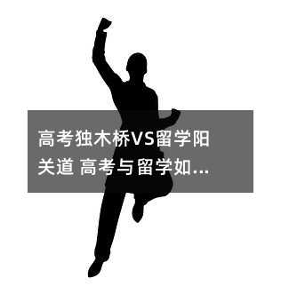 高考獨木橋VS留學陽關道 高考與留學如何兼得