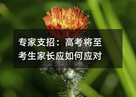 專家支招:高考將至 考生家長應如何應對
