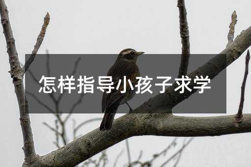 怎樣指導小孩子求學