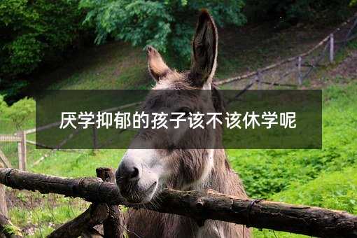 厌学抑郁的孩子该不该休学呢