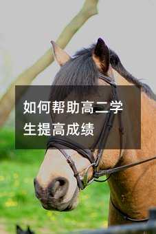 如何帮助高二学生提高成绩
