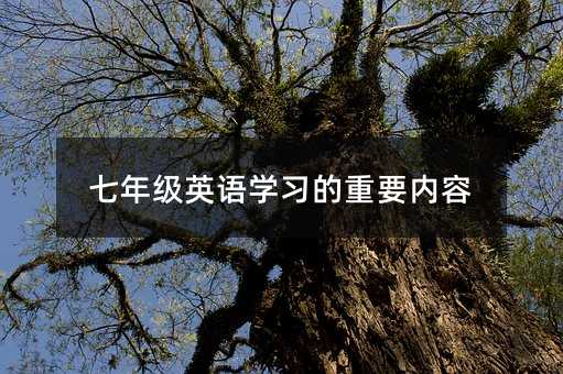 七年级英语学习的重要内容