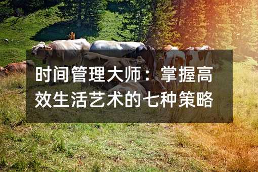时间管理大师:掌握高效生活艺术的七种策略