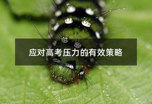 应对高考压力的有效策略