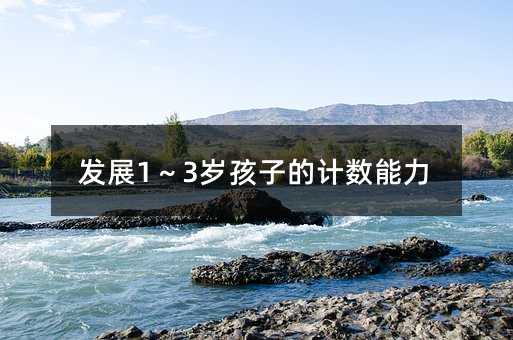 发展1~3岁孩子的计数能力