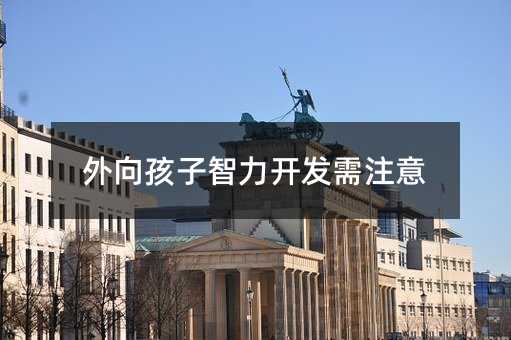 外向孩子智力开发需注意