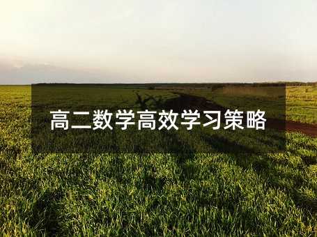高二数学高效学习策略