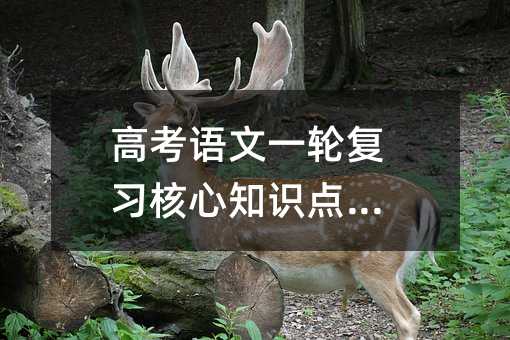 高考语文一轮复习核心知识点精讲
