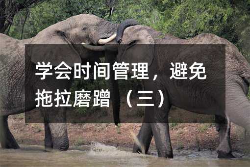 学会时间管理,避免拖拉磨蹭 (三)