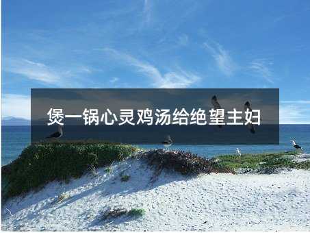 煲一锅心灵鸡汤给绝望主妇