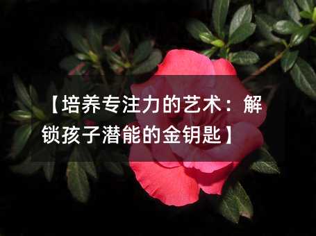 【培养专注力的艺术:解锁孩子潜能的金钥匙】