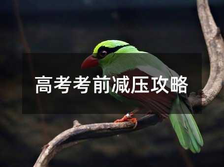 ߿ǰѹ