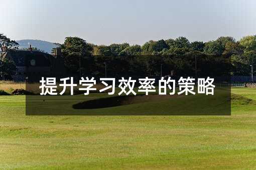 提升学习效率的策略