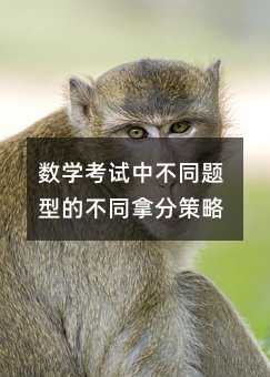 数学考试中不同题型的不同拿分策略