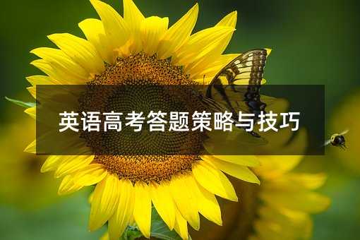 英语高考考试答卷方案与方法
