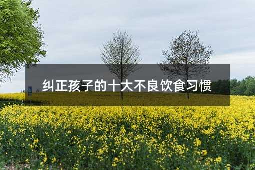 纠正孩子的十大不良饮食习惯