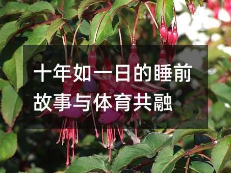 如1日的睡前故事与体育共融