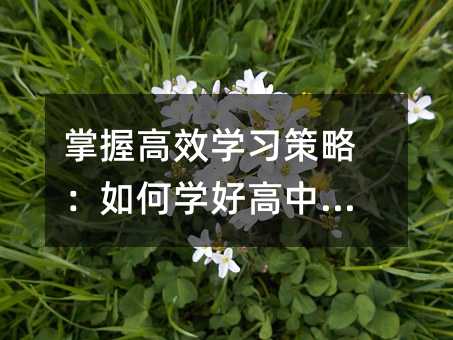 学会高效学习方案：怎么样学好高中英语