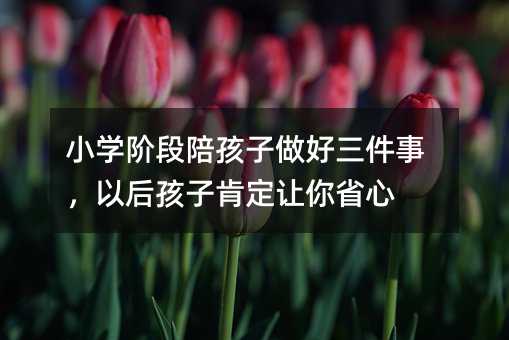 小学阶段陪孩子做好三件事,以后孩子肯定让你省心