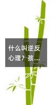 ʲô淴ӸĸŸô죿