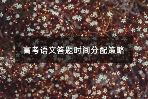 高考语文答题时间分配策略