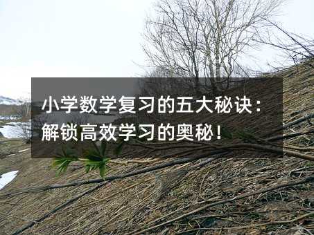 小学习数学复习的五大诀窍：解锁高效学习的奥秘！