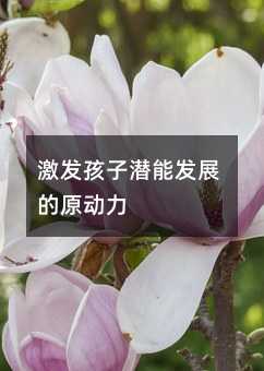 激发孩子潜能发展的原动力