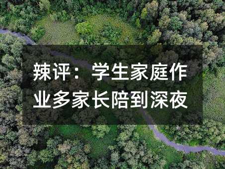 辣评:学生家庭作业多家长陪到深夜