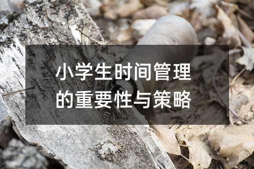 小学生时间管理的重要性与策略