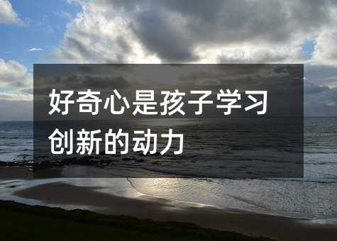 好奇心是孩子学习创新的动力