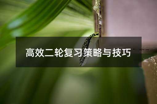 高效二轮复习策略与技巧