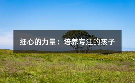 细心的力量:培养专注的孩子