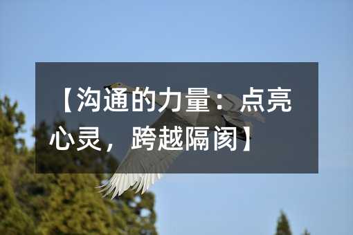 交流的力量：点亮心灵，跨越隔阂