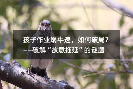 ҵţ٣ƾ֣ƽ⡰ӡ