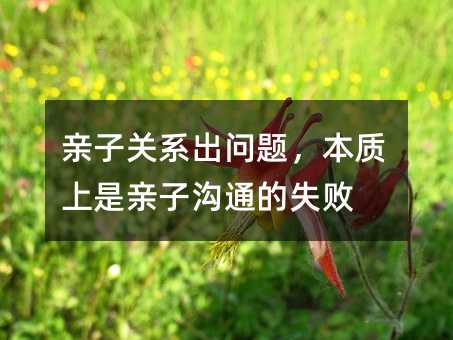 亲子关系出问题,本质上是亲子沟通的失败