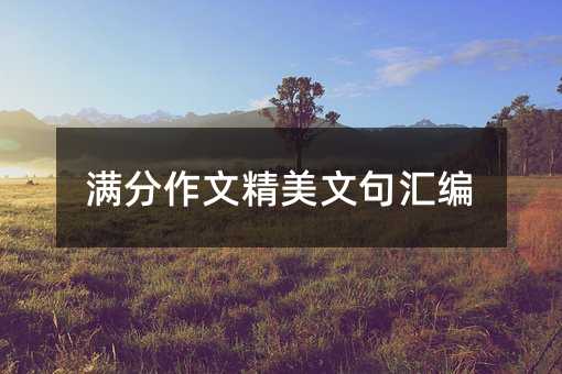 满分作文精美文句汇编