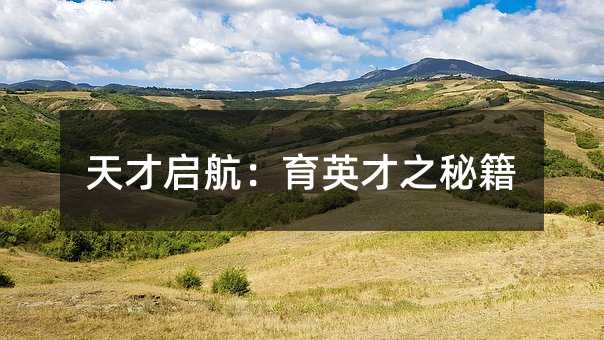 天才启航：育英才之秘诀