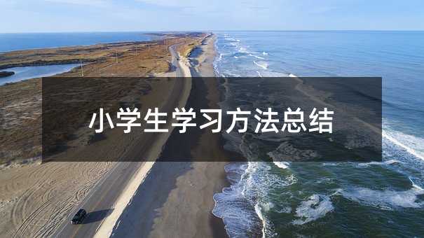 小学生学习方法总结