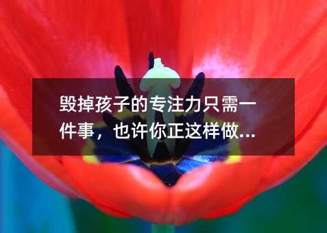 毁掉孩子的专注力只需一件事,也许你正这样做...