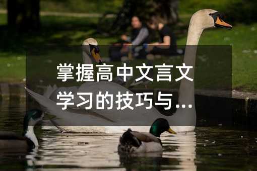 掌握高中文言文学习的技巧与策略