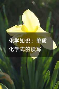 化学知识:单质化学式的读写