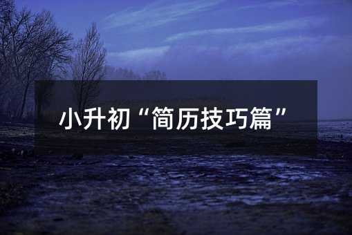 小升初“简历技巧篇”