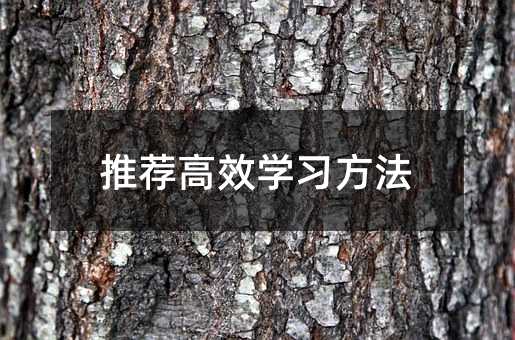 推荐高效学习方法