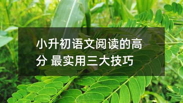 小升初语文阅读的高分 最实用三大技巧