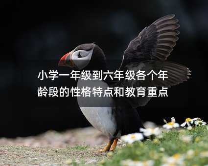 小学一年级到六年级各个年龄段的性格特点和教育重点