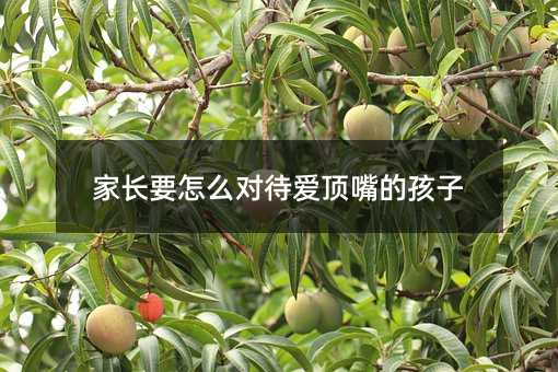 家长要怎么对待爱顶嘴的孩子