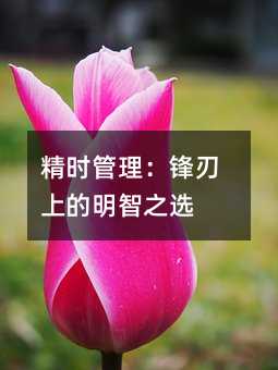 精时管理：锋刃上的明智的选择