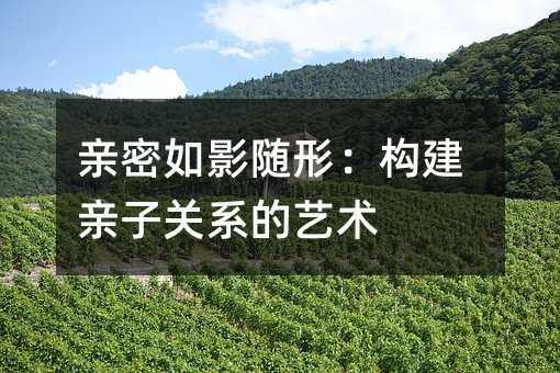 亲密如影随形:构建亲子关系的艺术